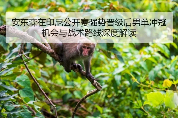 安东森在印尼公开赛强势晋级后男单冲冠机会与战术路线深度解读